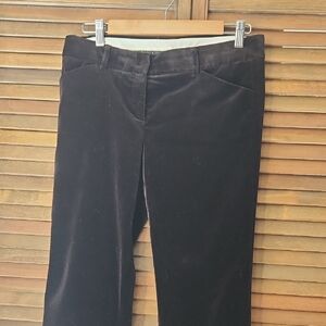 Theory Velvetine Pants Dark Brown